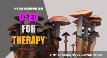 Exploring the Therapeutic Potential of Magic Mushrooms in Modern Medicine