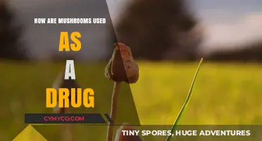 Exploring the Psychedelic Realm: Mushrooms as a Gateway