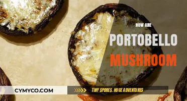 Exploring the Rich Flavor and Versatility of Portobello Mushrooms