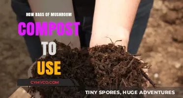 Maximizing Garden Growth: Optimal Mushroom Compost Usage Tips
