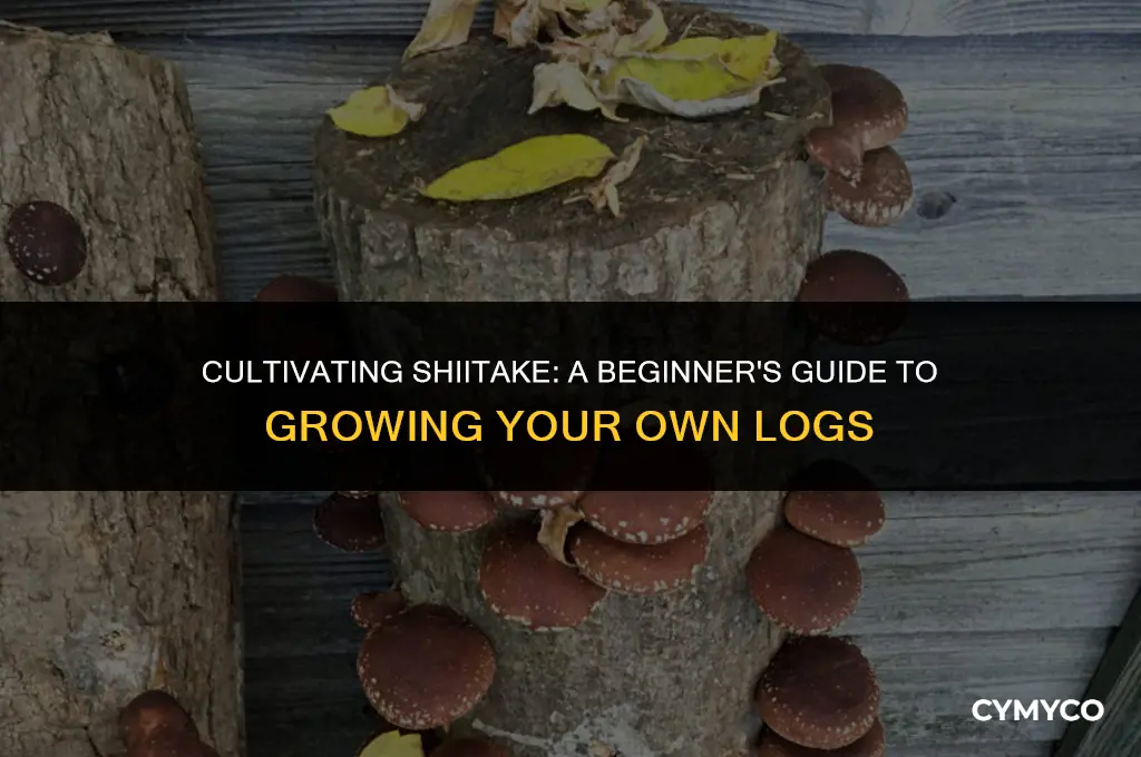how can i get a log to grow shiitake