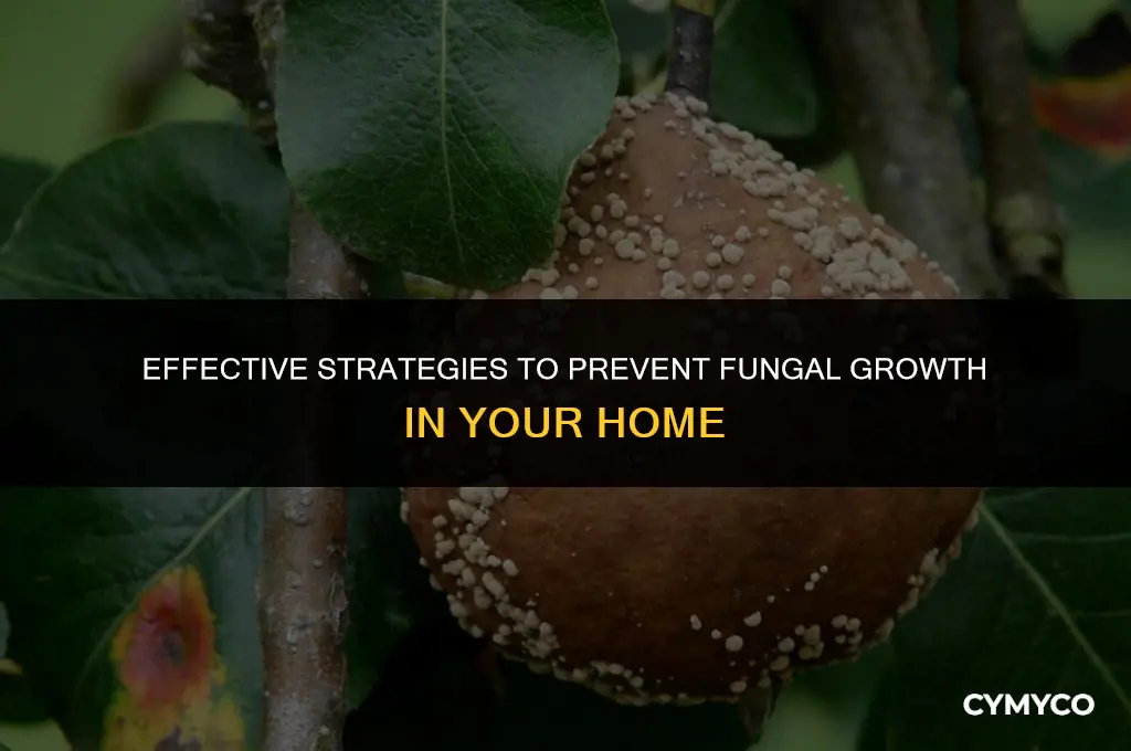 how can you prevent fungi