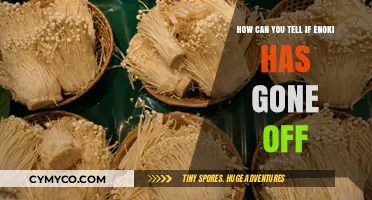 Freshness Check: How to Tell If Enoki Mushrooms Have Gone Off