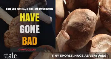 Spotting Spoilage: A Guide to Shiitake Mushroom Freshness