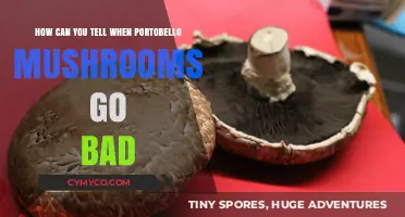 Spotting Spoilage: A Guide to Portobello Mushroom Freshness