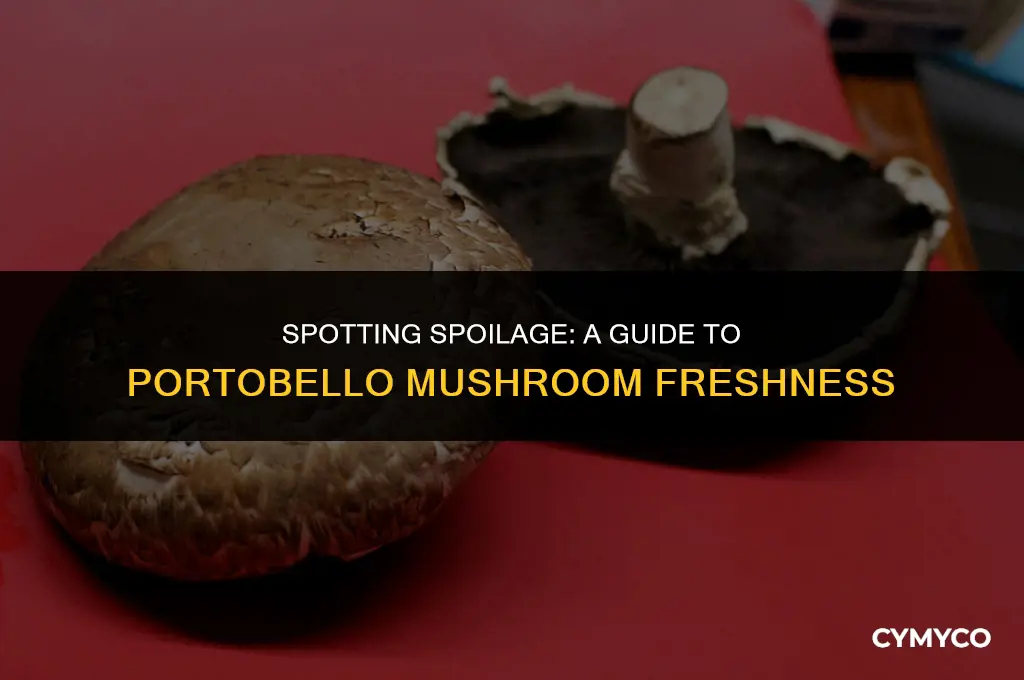 how can you tell when portobello mushrooms go bad