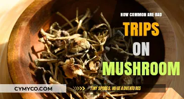 Exploring the Frequency of Adverse Experiences with Psilocybin Mushrooms
