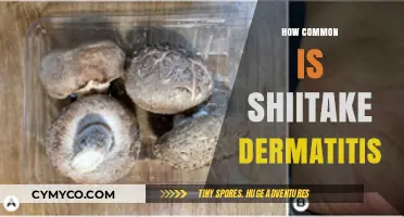 Unveiling the Prevalence of Shiitake Dermatitis: A Comprehensive Guide