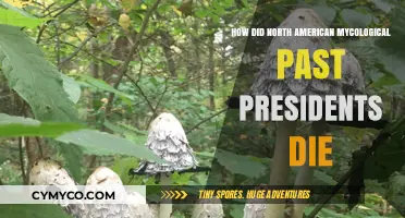 North American Mycological Association Past Presidents' Causes of Death