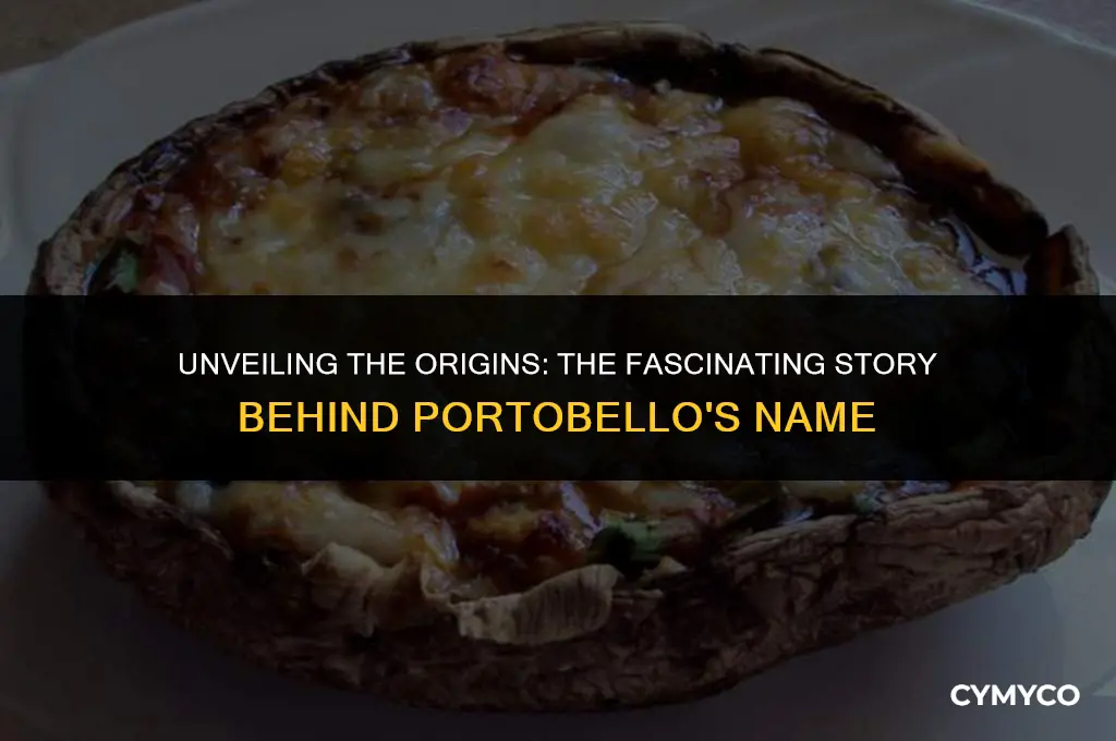 how did portobello get its name