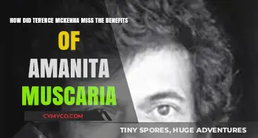 Terence McKenna's Oversight: The Missed Benefits of Amanita Muscaria