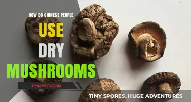 Savoring Umami: The Art of Using Dry Mushrooms in Chinese Cuisine