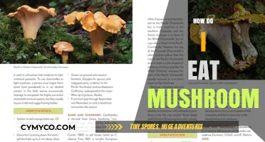 A Beginner's Guide to Safely Enjoying Edible Mushrooms