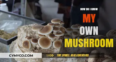 Cultivating Your Own Mushrooms: A Beginner's Guide to Homegrown Fungi
