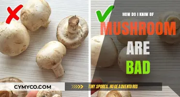 Identifying Spoiled Mushrooms: A Guide to Safe Consumption