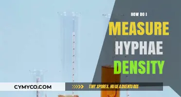 Exploring Hyphae Density: A Guide to Accurate Measurement Techniques