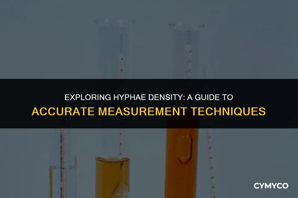 how do i measure hyphae density