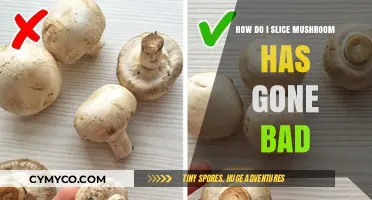 Avoid Food Waste: Check These Signs Before Slicing Mushrooms