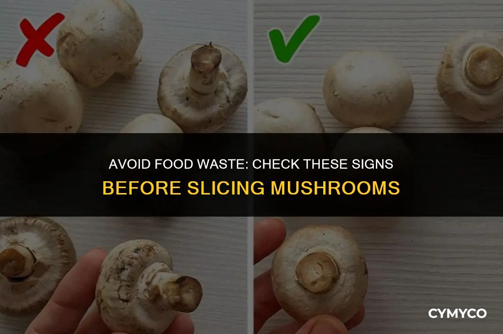 how do i slice mushroom has gone bad