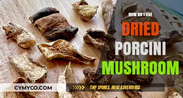 Unlocking Umami: A Guide to Using Dried Porcini Mushrooms