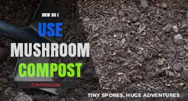 Unlocking the Power of Mushroom Compost: A Beginner's Guide