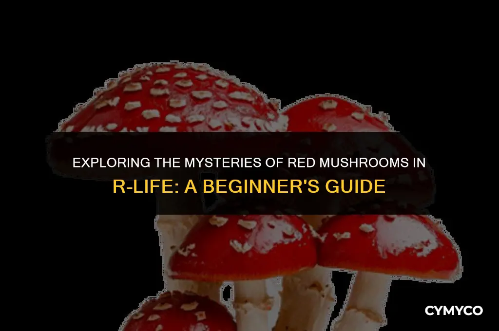 how do i use red mushroom r-life
