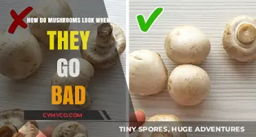 Deciphering Decay: A Visual Guide to Spoiled Mushrooms
