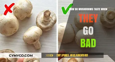 Exploring the Flavor Shift: What Happens When Mushrooms Spoil?