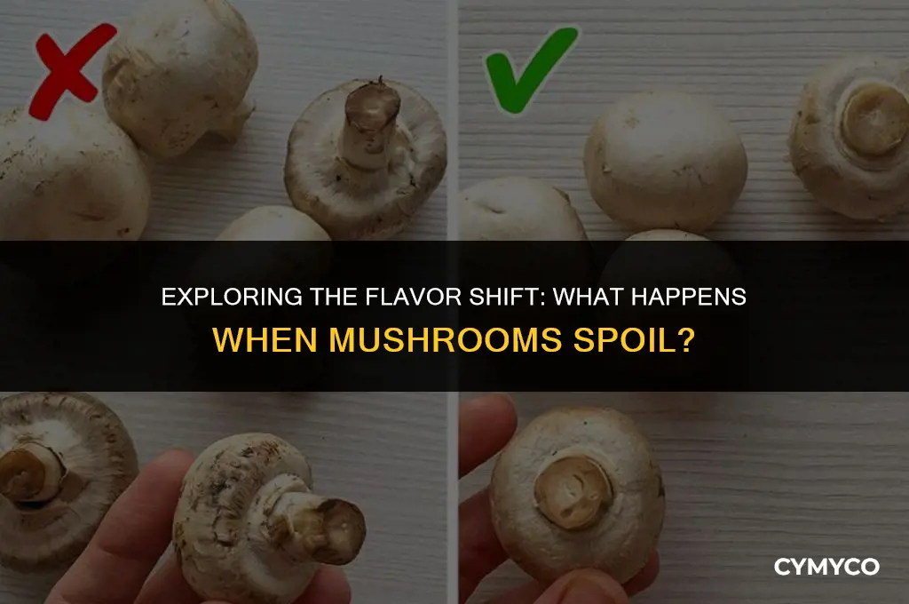how do mushrooms taste when they go bad