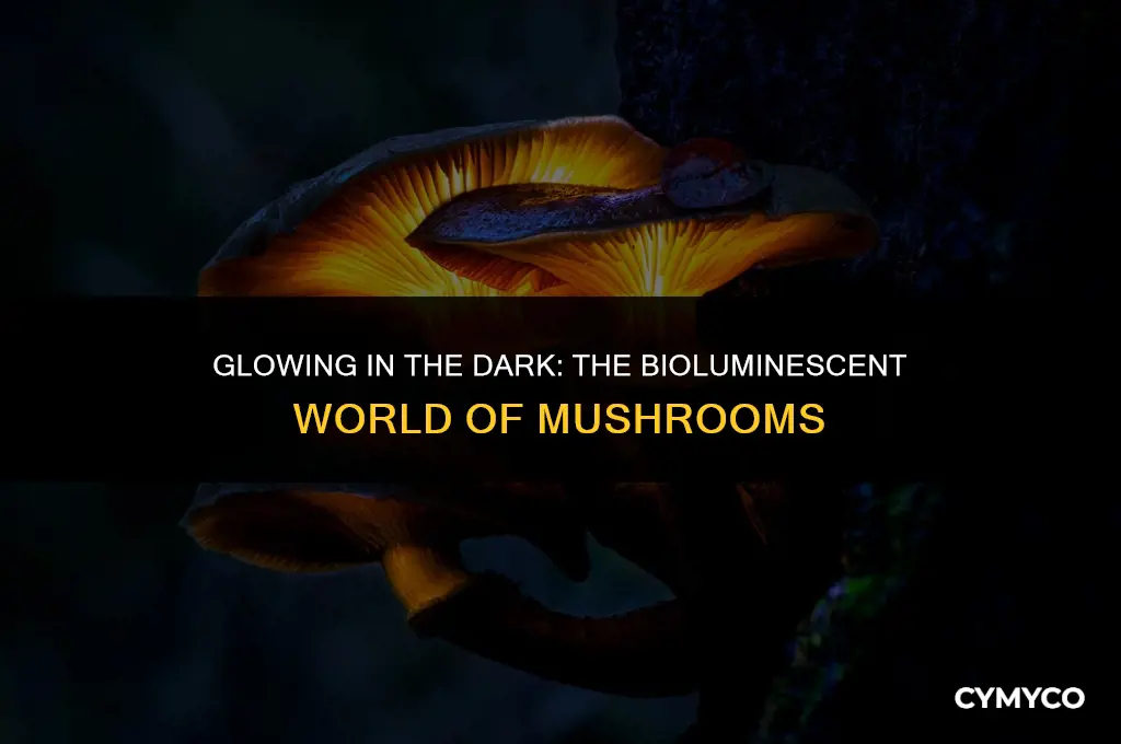 how do mushrooms use bioluminescence