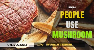 Exploring the Diverse Ways People Utilize Mushrooms in Everyday Life