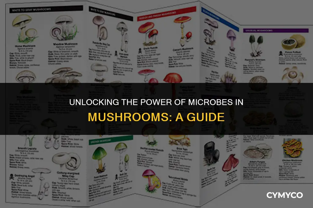 how do we use microbes in mushrooms