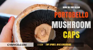 Mastering Portobello Mushroom Cap Cleaning: Simple Steps for Perfect Results