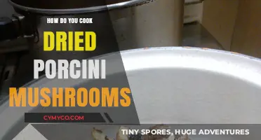 Mastering Dried Porcini Mushrooms: Simple Cooking Techniques for Rich Flavor