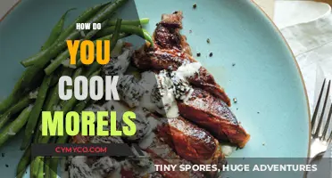 Savor the Spring: A Guide to Cooking Morel Mushrooms