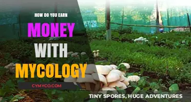 Profitable Mycology: Innovative Ways to Earn Money with Fungi Cultivation