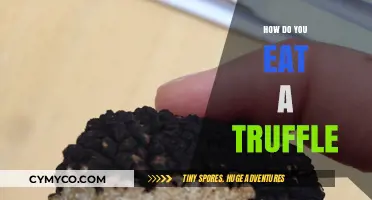 Savoring the Earth's Delicacy: A Guide to Enjoying Truffles