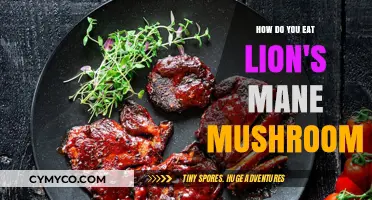 Savoring the Lion's Mane: A Culinary Guide to This Unique Mushroom