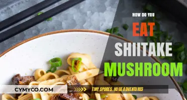 Savoring Shiitake: A Beginner's Guide to Eating These Delicious Mushrooms