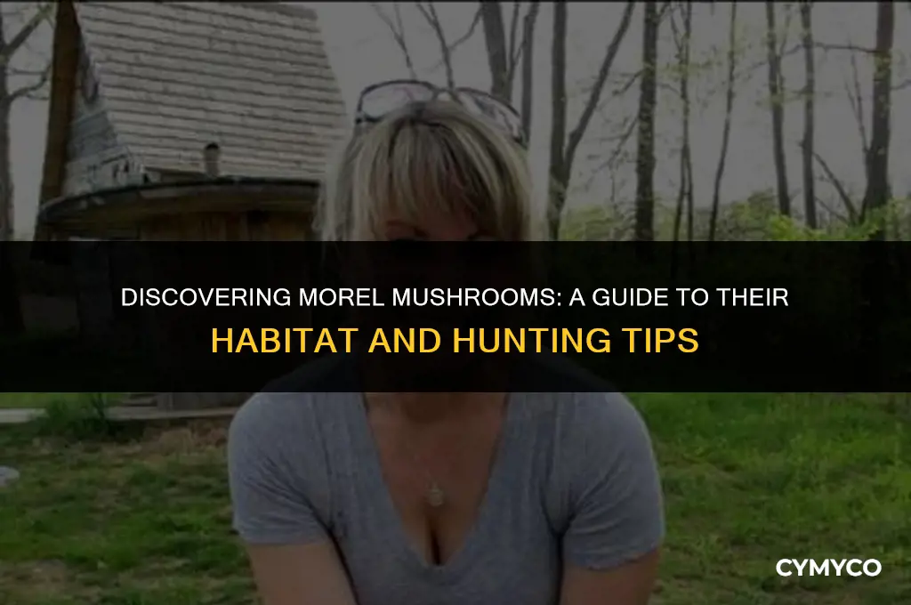 how do you find morel mushrooms