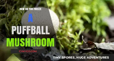 Preserving Perfection: The Ultimate Guide to Freezing Puffball Mushrooms