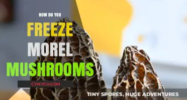 Mastering Morel Preservation: A Guide to Freezing Morel Mushrooms