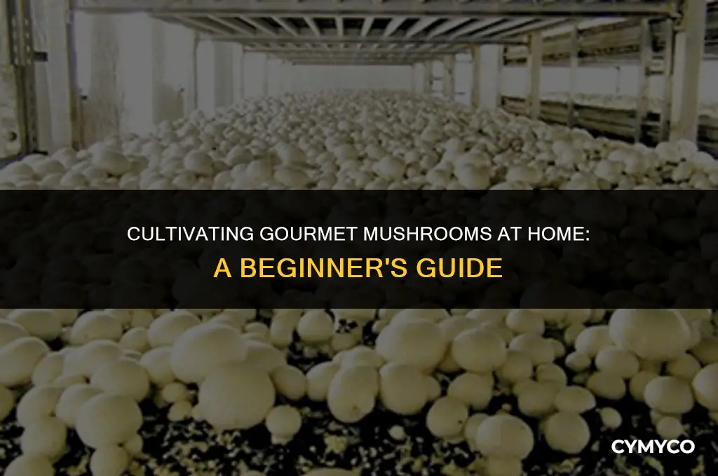 how do you grow mushrooms indoors
