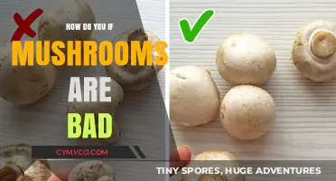 Identifying Spoiled Mushrooms: A Guide to Safe Consumption
