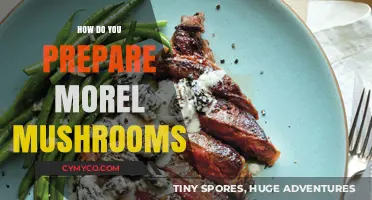 Savor the Spring: A Guide to Preparing Morel Mushrooms