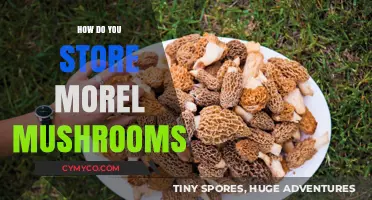 Preserving Nature's Bounty: The Ultimate Guide to Storing Morel Mushrooms