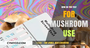 Exploring the Methods: How to Test for Mushroom Use