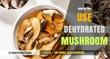 Reviving Flavor: The Art of Using Dehydrated Mushrooms