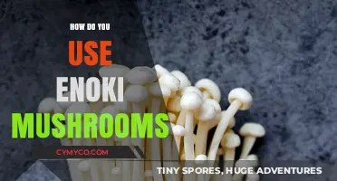 Exploring the Versatility of Enoki Mushrooms in Your Kitchen