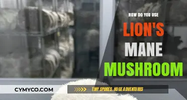 Exploring the Benefits and Uses of Lion's Mane Mushrooms